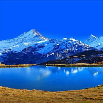 8188www威尼斯手机app下载