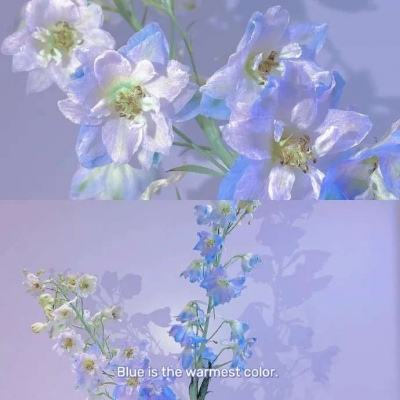 皇冠app下载安装免费下载