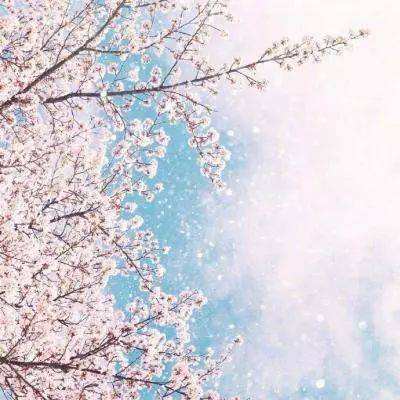 乐鱼app官网正式版下载手机app下载