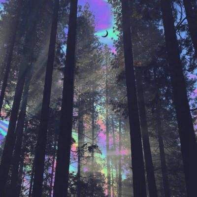 江南体育app下载app下载