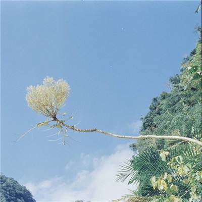 pg电子下载网址