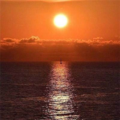 天博网页版入口官网截图