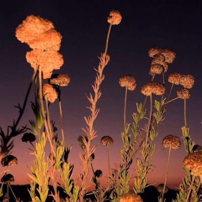 博鱼综合体育官网登录