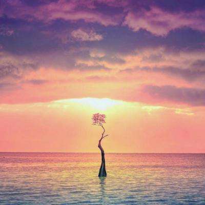 金年会手机app官方下载