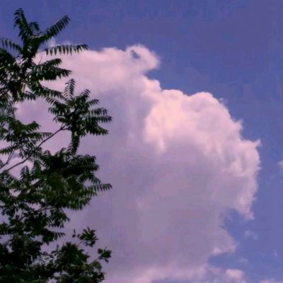 im电竞·(中国)官方网站